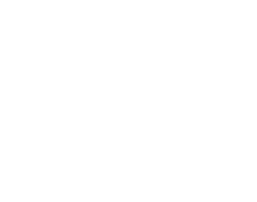 Ponches Kari
